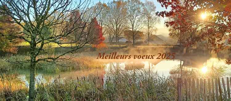 meilleurs-voeux-2025